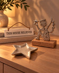 Tooth Fairy Welcome Set